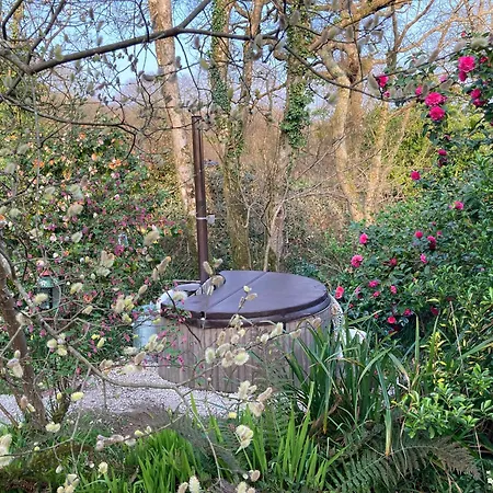 Enchanting Hand Painted Tabernacle With Hot Tub *
